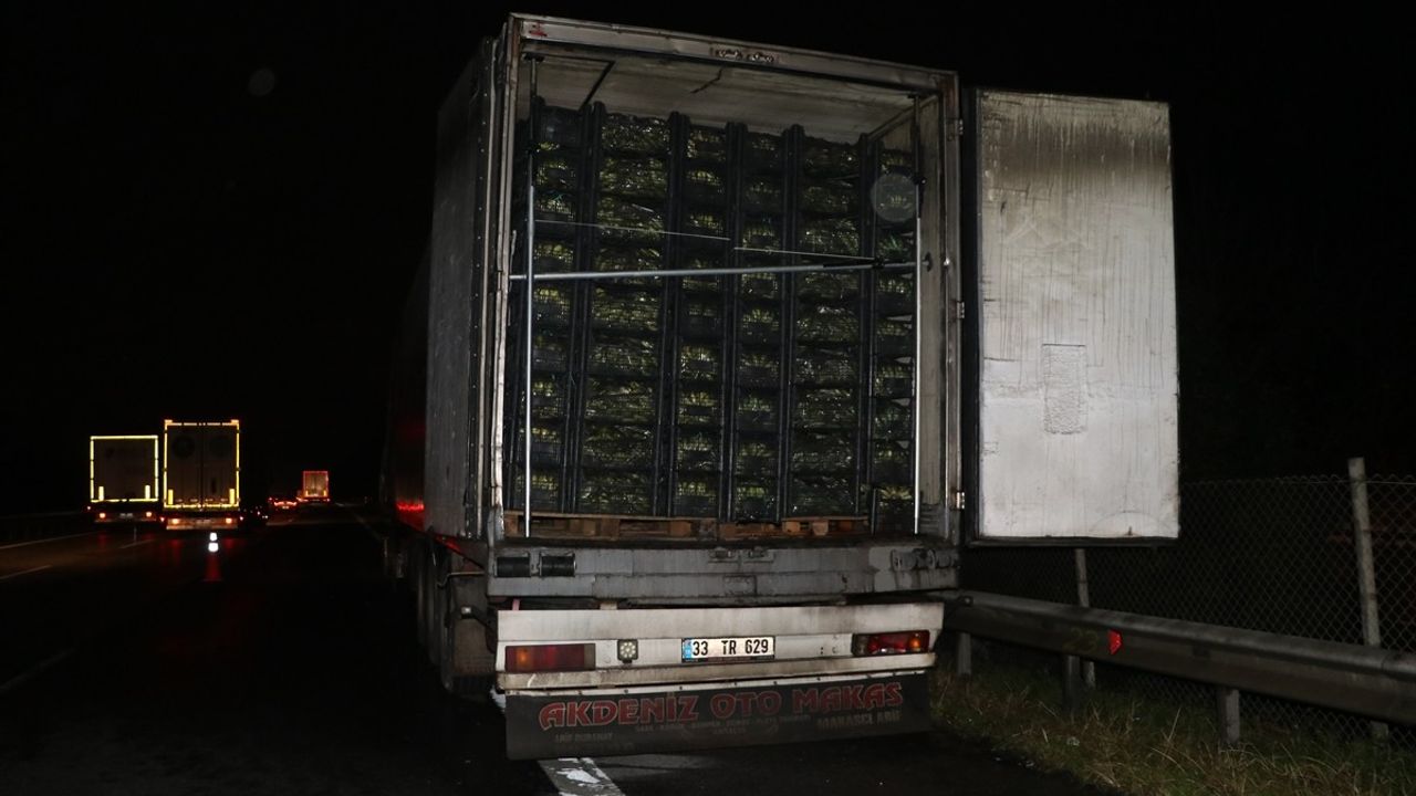 Kocaeli'de Muz Yüklü Tırda Yangın Çıktı