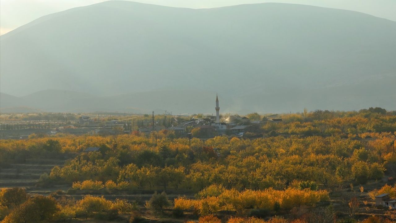 Malatya Ovası Sonbaharda Renk Cümbüşü Yaşıyor