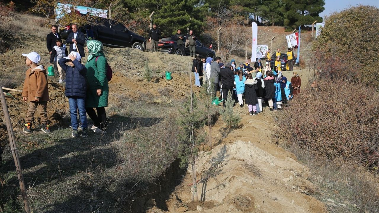 Mili Ağaçlandırma Günü'nde Fidanlar Toprakla Buluştu