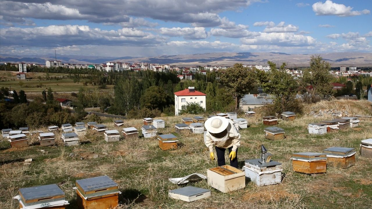 Muşlu Arıcı Dünya Pazarına Açılıyor