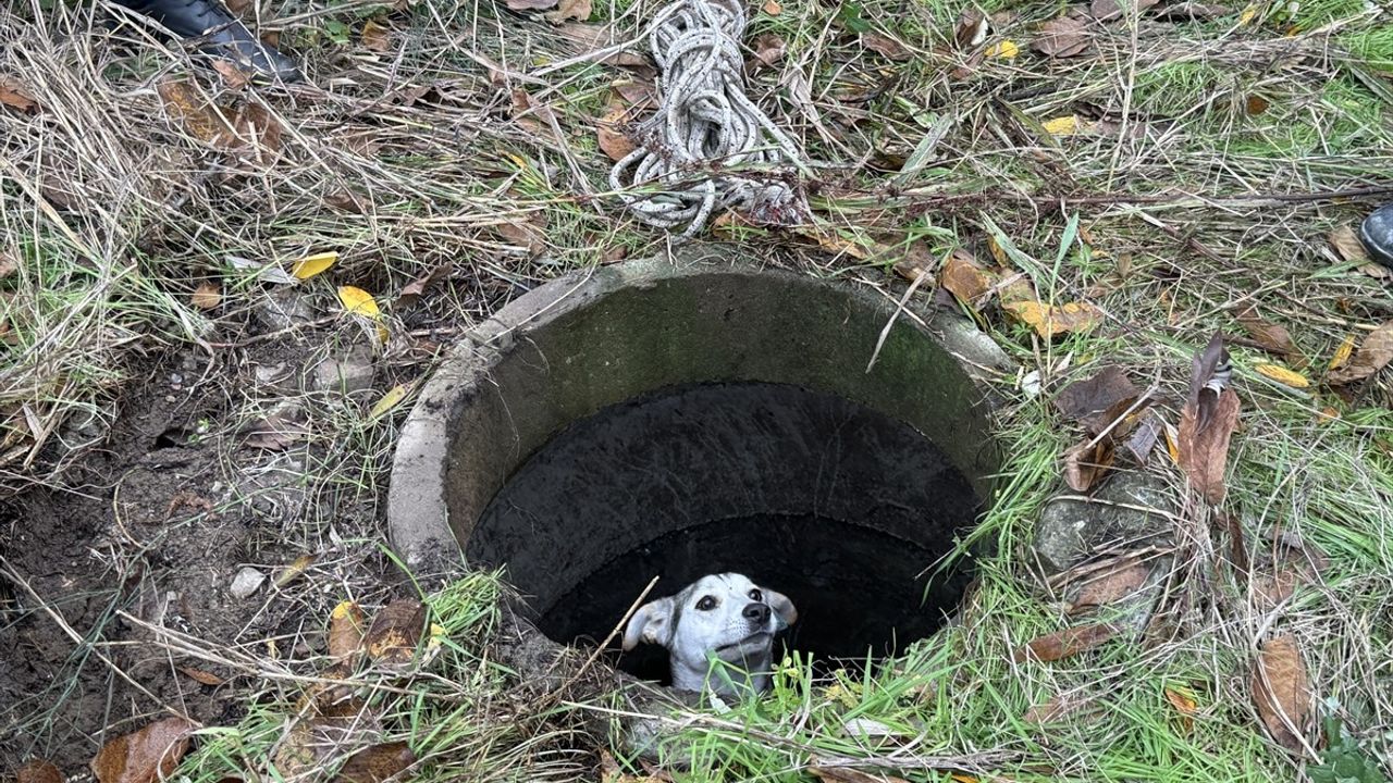 Sakarya'da Kuyuya Düşen Köpek Kurtarıldı