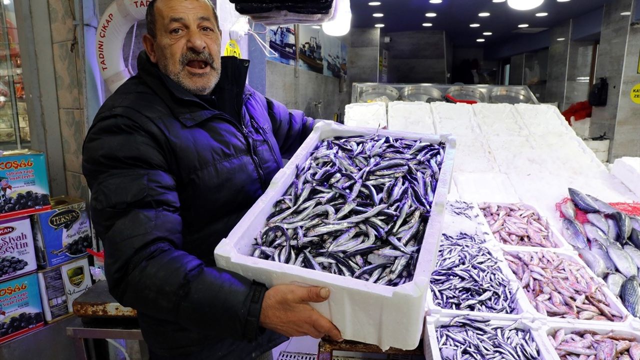 Samsun'da Hamsi Fiyatları 100 Lira