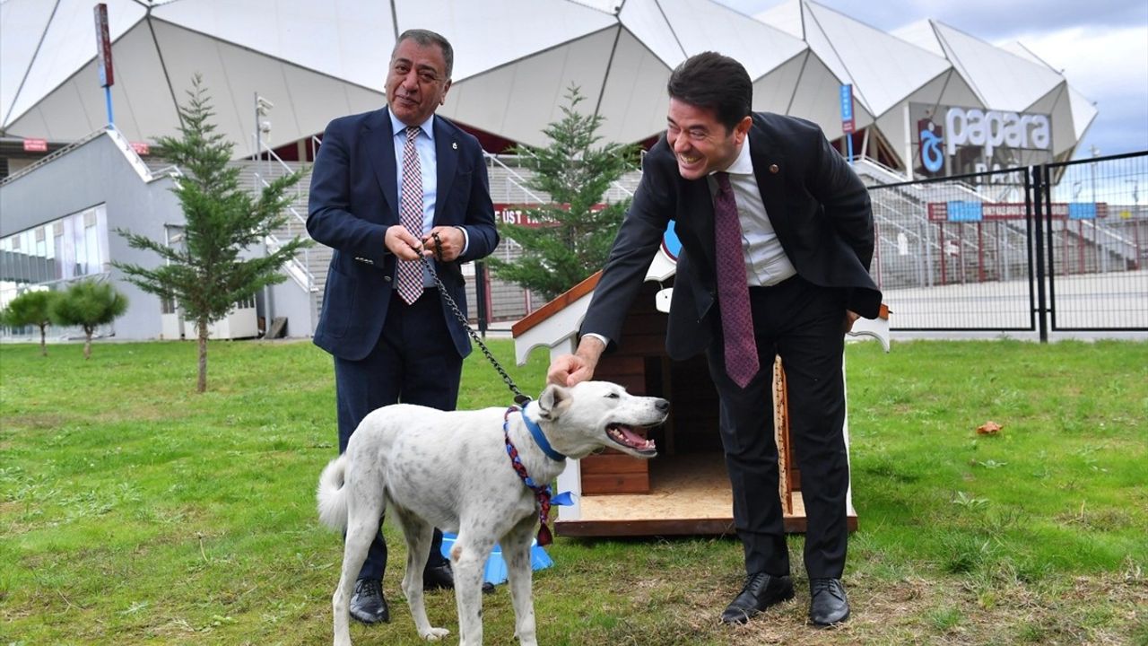 Trabzonspor, Fenerbahçe Maçında Sahaya Giren Köpeği Sahiplendi