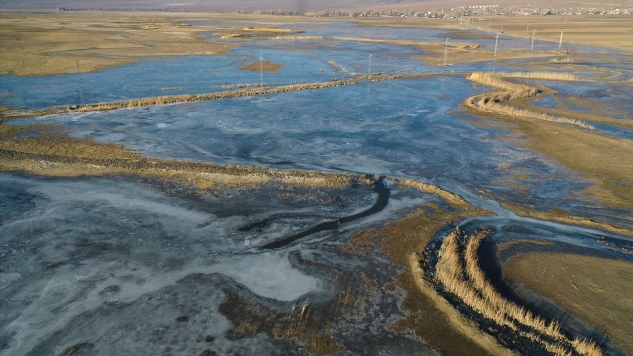 Ağrı'da Sulak Alanlar Buzla Kaplandı