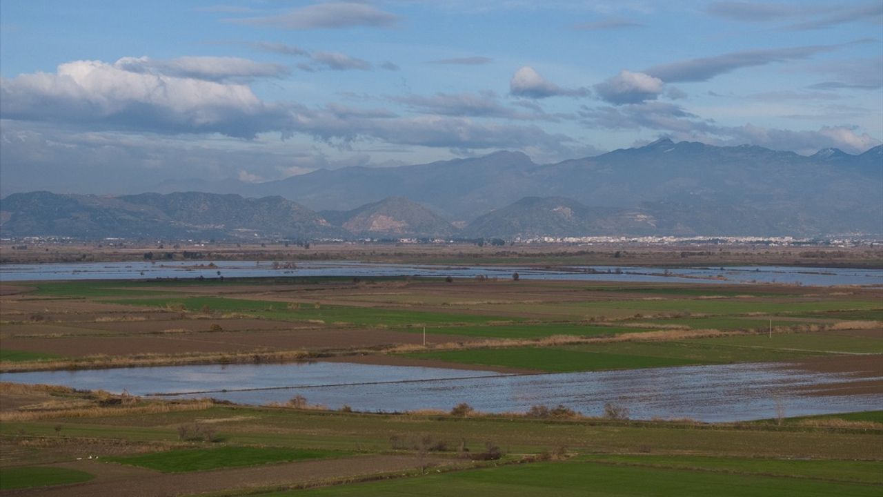 Büyük Menderes Nehri'nde Taşkın Sorunları