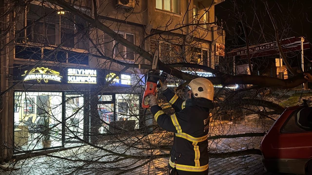 Edirne'de Ağaç Devrildi, Otomobilde Hasar Oluştu