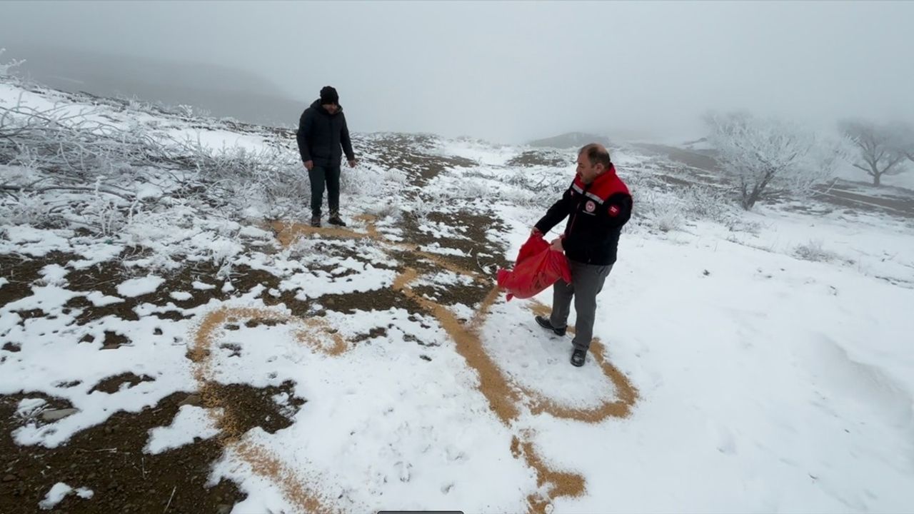 Erzincan'ın Kırsalında Yabani Hayvanlar İçin Yem Bırakıldı