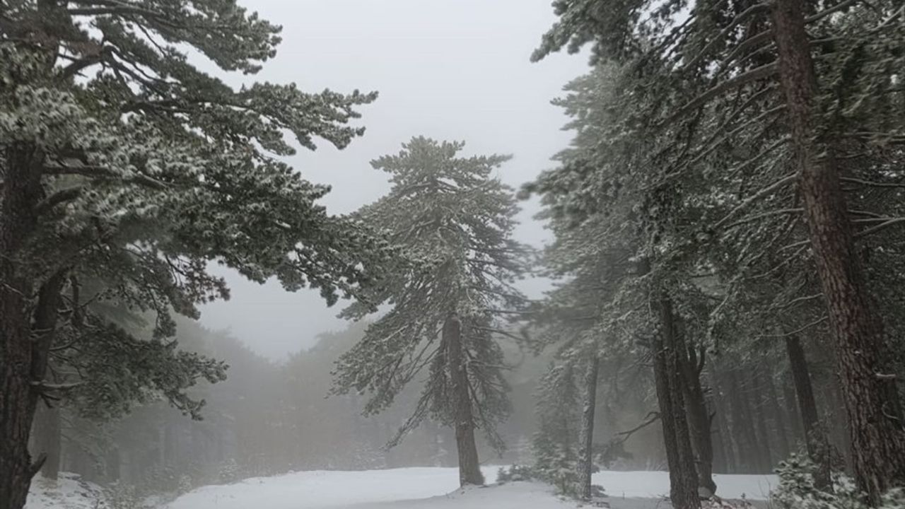 Kazdağları'nda Kar Yağışı Etkili Oldu