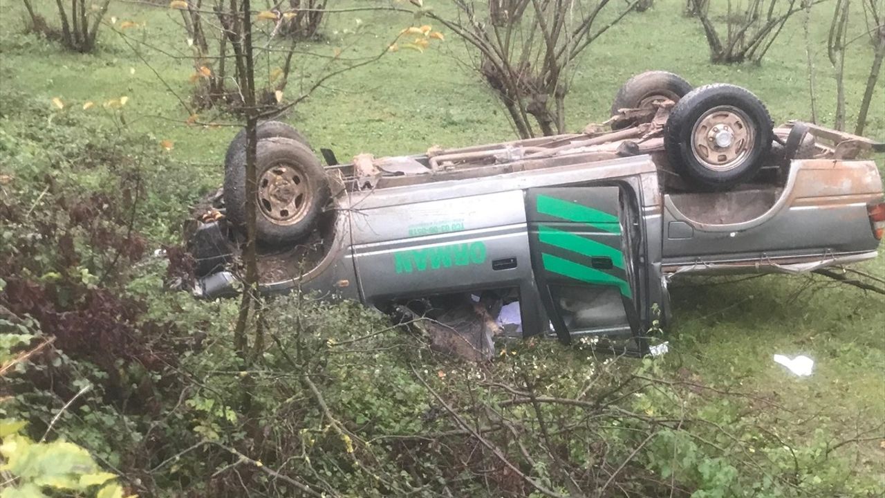 Sakarya'da Fındık Tarlasına Devrilen Kamyonette 5 Yaralı