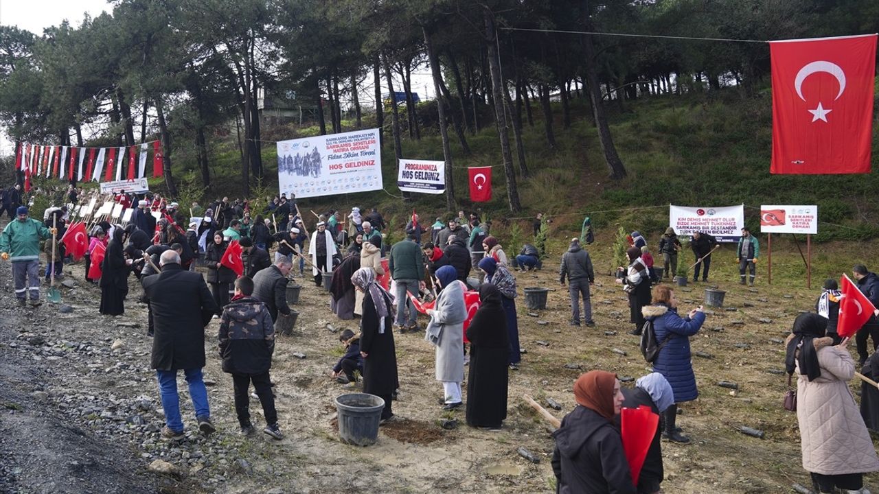 Sultangazi'de Sarıkamış Şehitleri Hatıra Ormanı Kuruldu