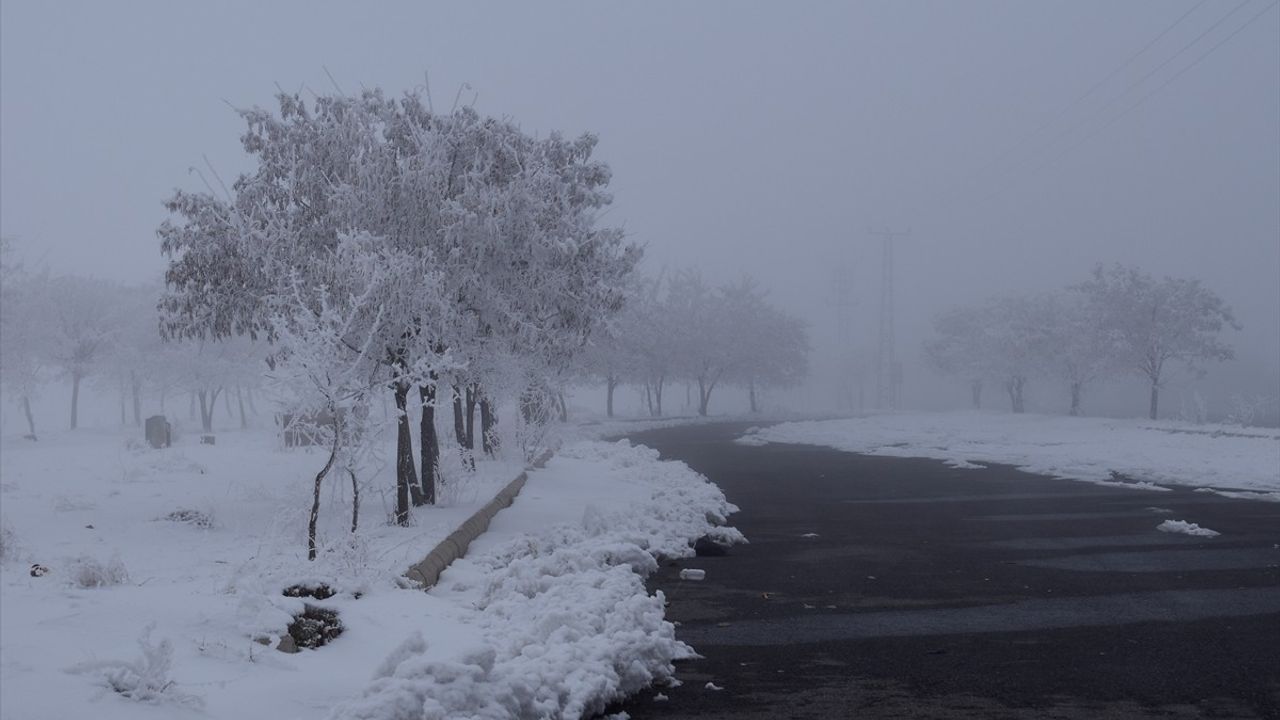 Bitlis'te Soğuk Hava ve Sis Etkili Oldu