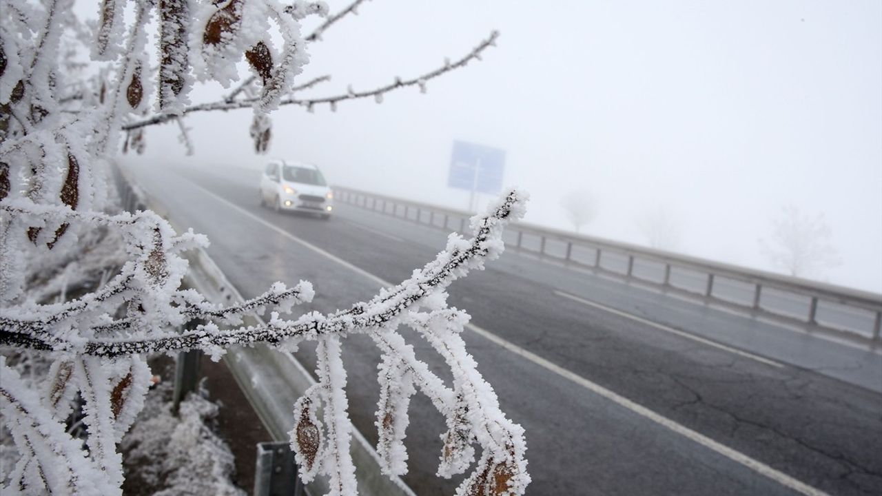 Bitlis'te Soğuk Hava ve Sis Etkili Oluyor