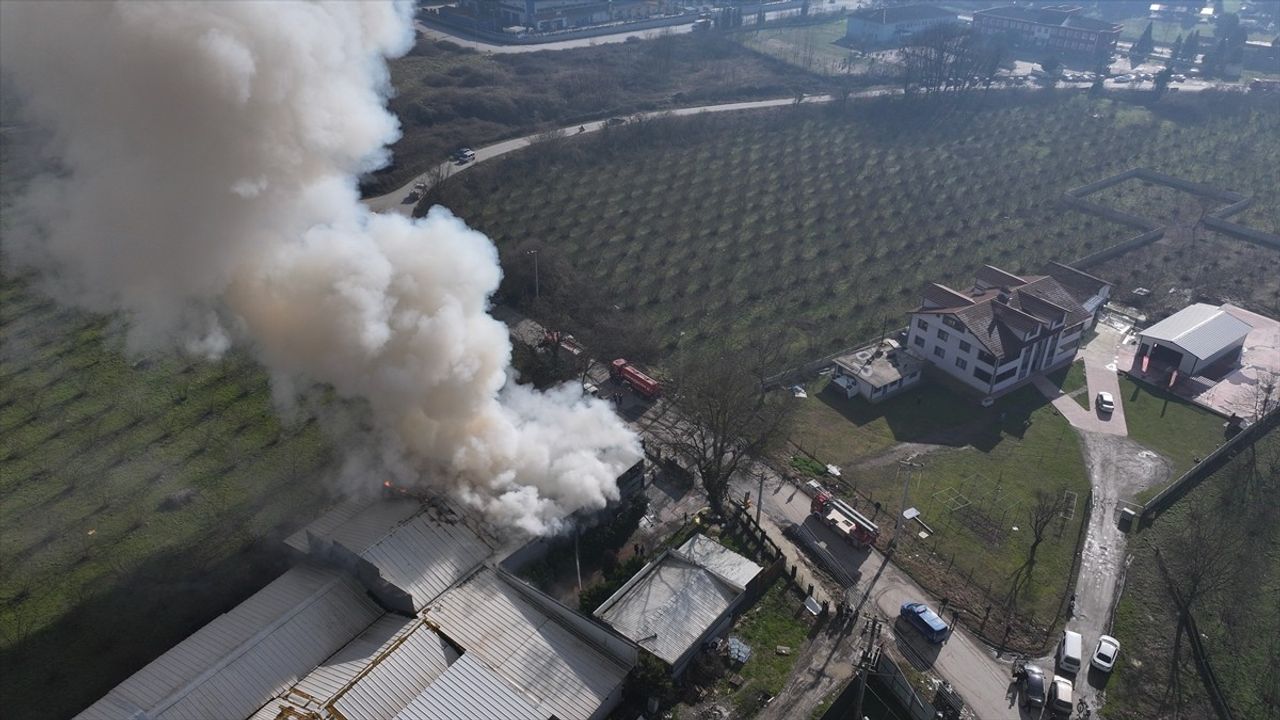 Düzce'de Yumurta Üretim Tesisindeki Yangın Kontrol Altına Alındı