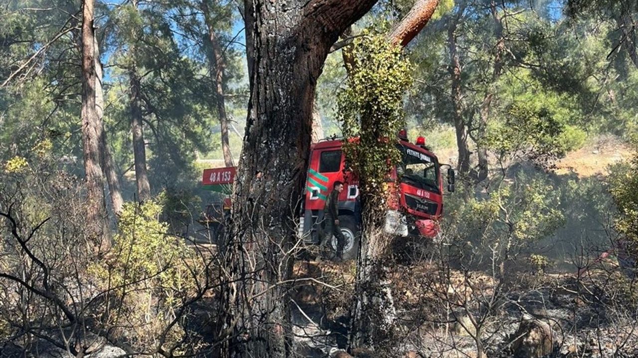 Fethiye'de Orman Yangını Kontrol Altına Alındı