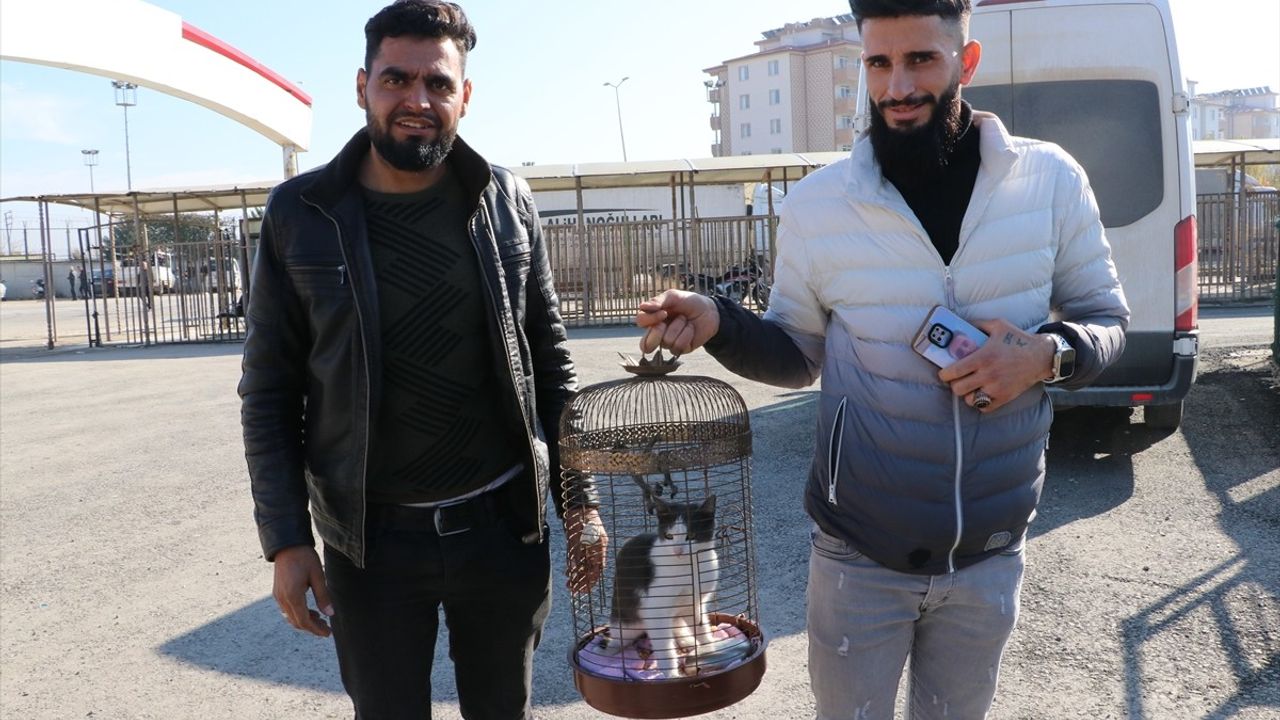 Kilis'teki Suriyelilerin Ülkelerine Dönüşü Devam Ediyor