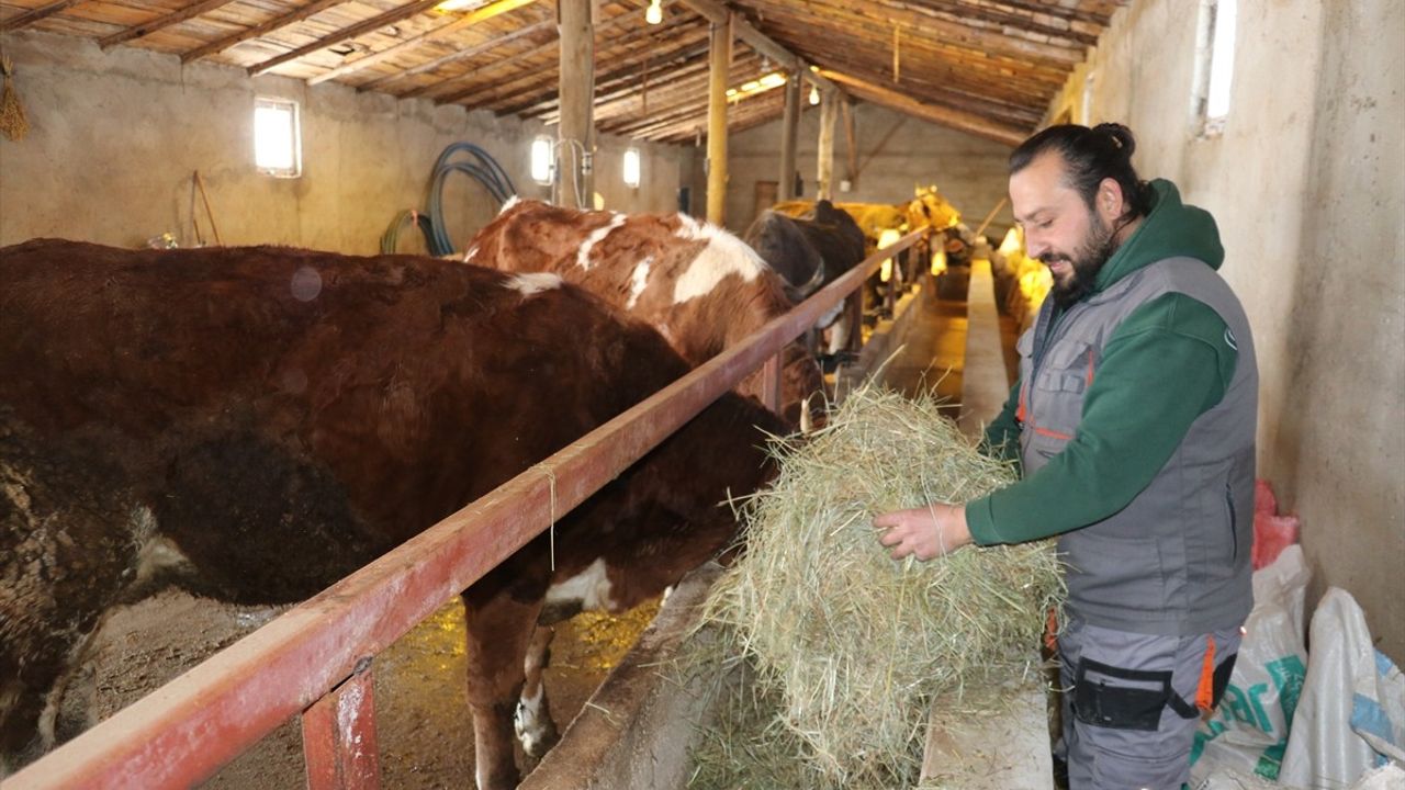 Küçük Bir Köyde Yeni Bir Hayat: Berkan Karlankuş'un Hayvancılık Serüveni