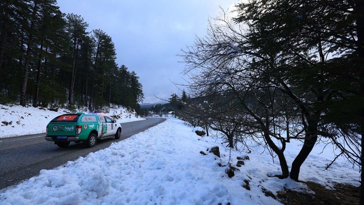 Muğla'da Yaban Hayvanları İçin Destek