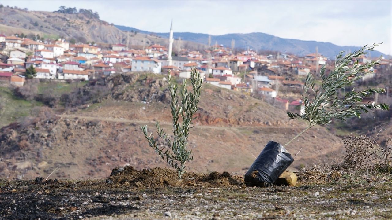 Yaylabaşı Köyü'nde Ağaçlandırma Projesi Başlatıldı