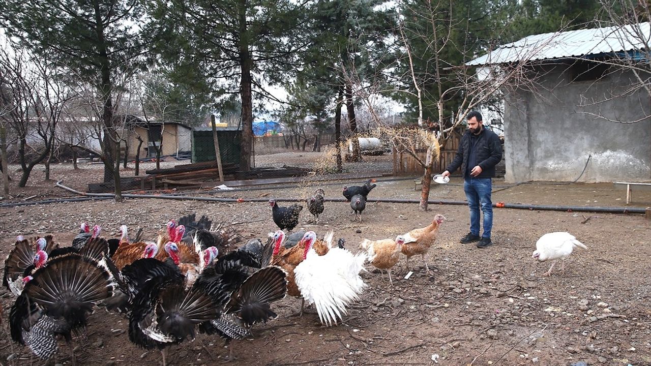 Diyarbakırlı İş İnsanı Kaçan Deve Kuşunu Arıyor