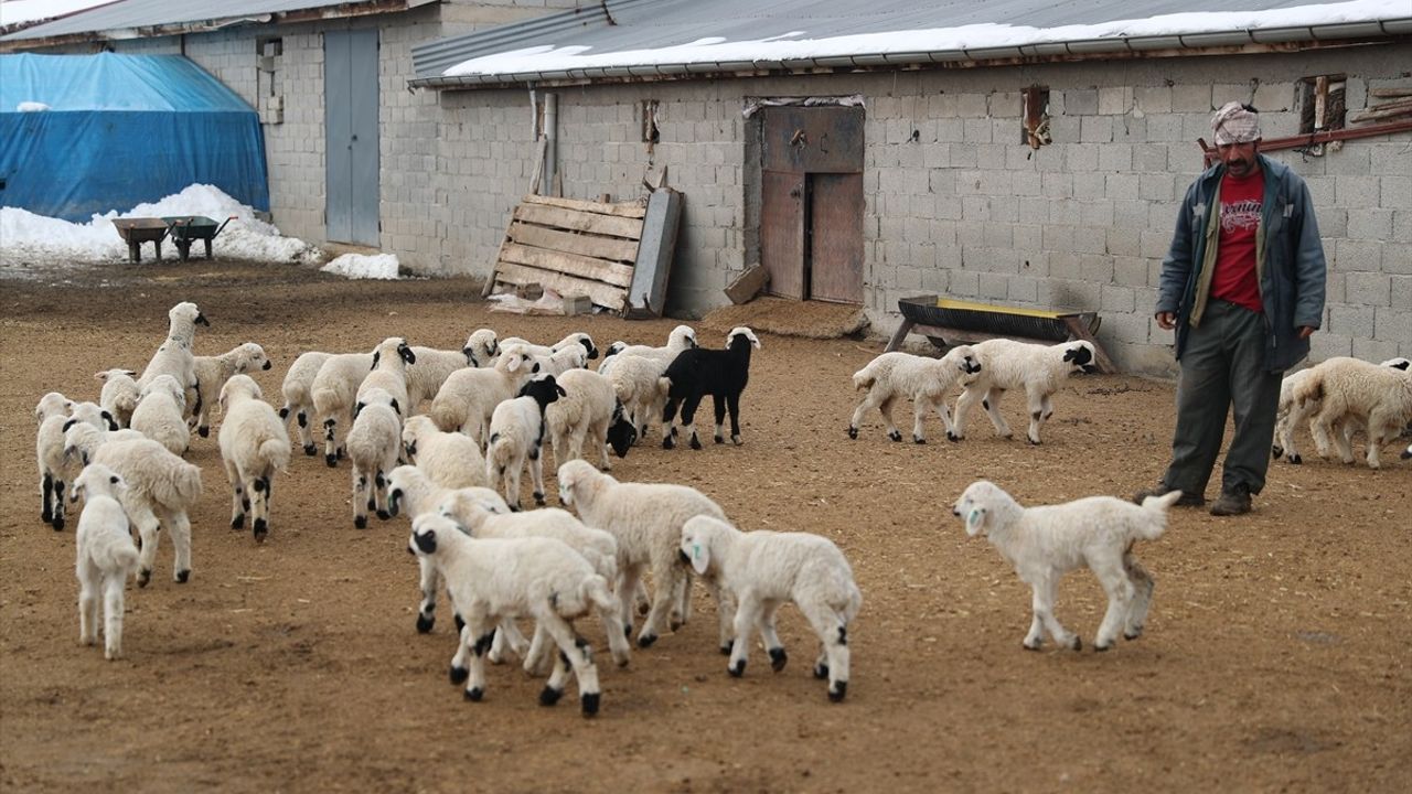 Erzincan'da Besiciler Nöbet Tutuyor