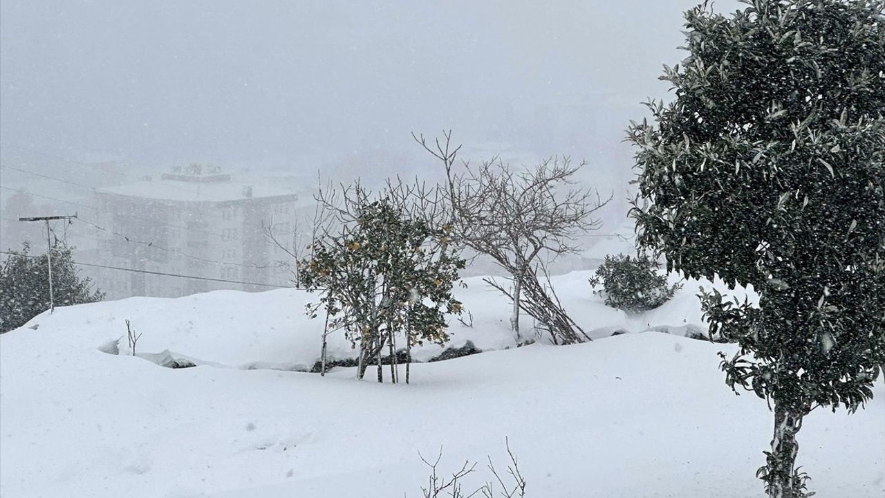 Karadeniz'de Yoğun Kar Yağışı ve Soğuk Hava Etkili