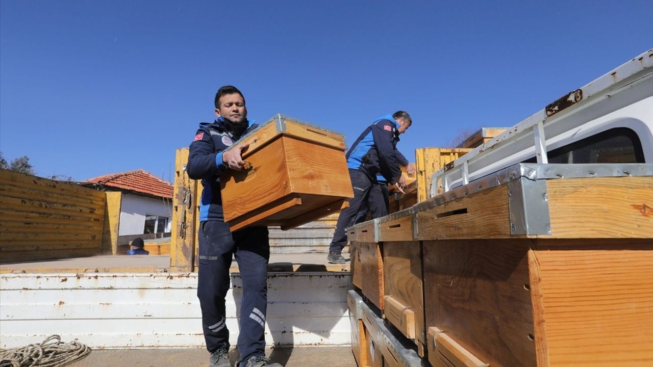 Muğla'da Yangınlardan Etkilenen Arıcılara Destek