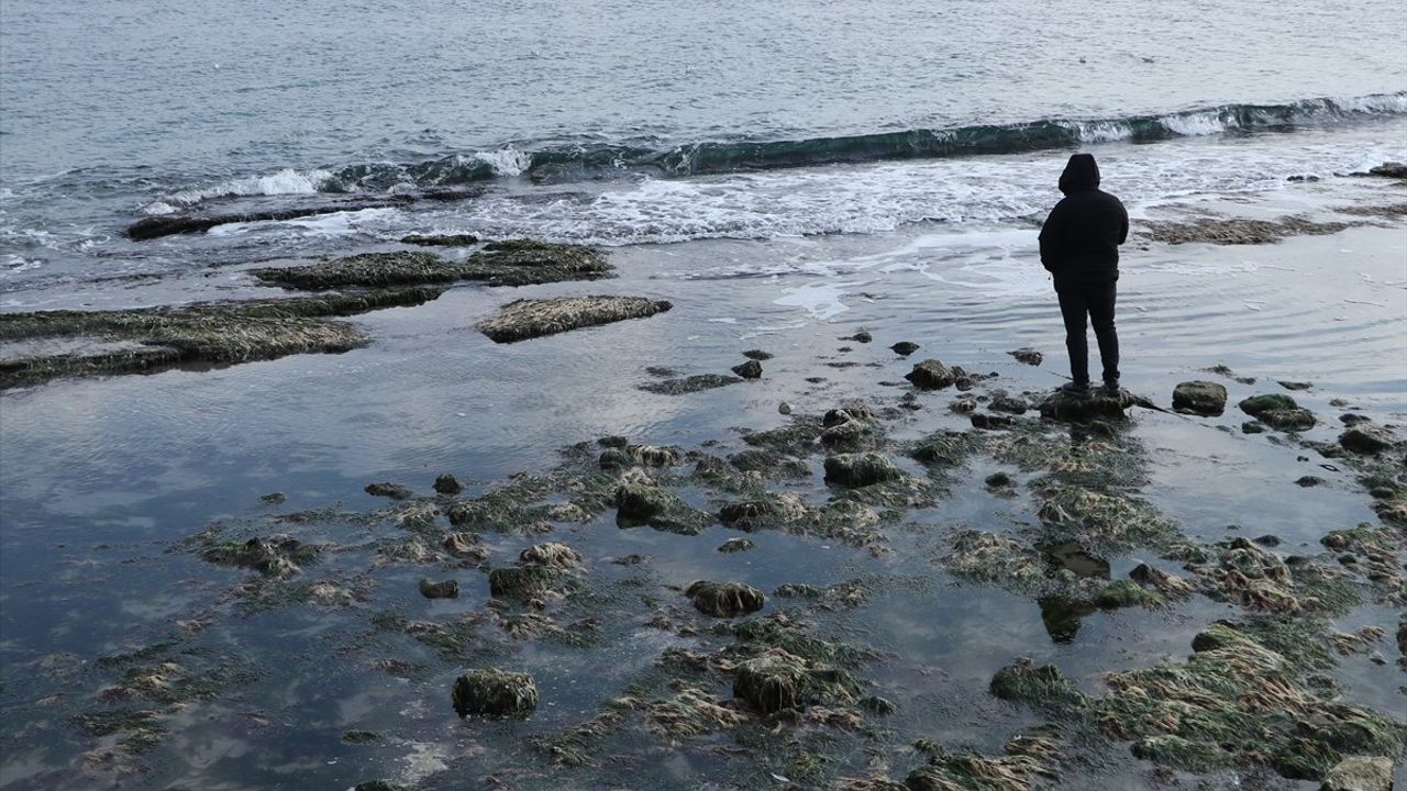 Tekirdağ Kıyılarında Deniz Suyu Çekilmesi