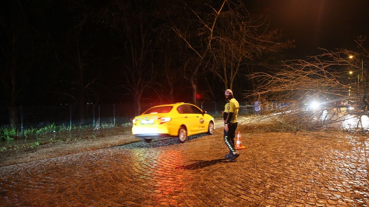 Edirne'de Sağanak Yağış Nedeniyle Ağaç Devrildi ve Trafikte Aksamalar Yaşandı