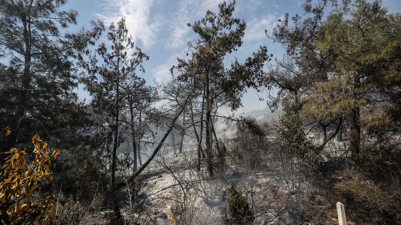 Mersin'de Tarım Arazisinde Yangın Kontrol Altına Alındı