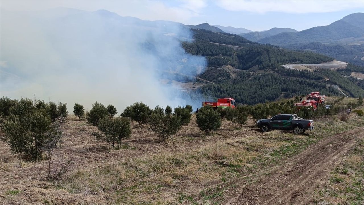 Osmaniye'de Yangın Kontrol Altına Alındı