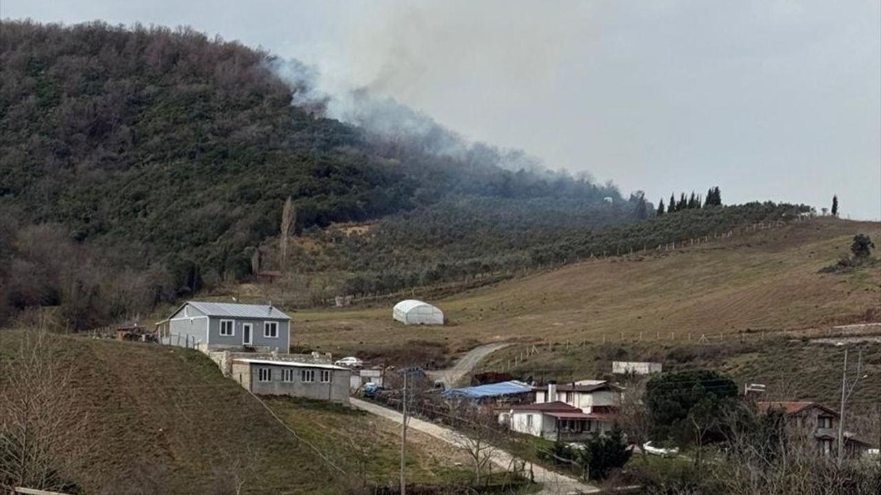 Yalova'da Orman Yangınına Müdahale Başlatıldı