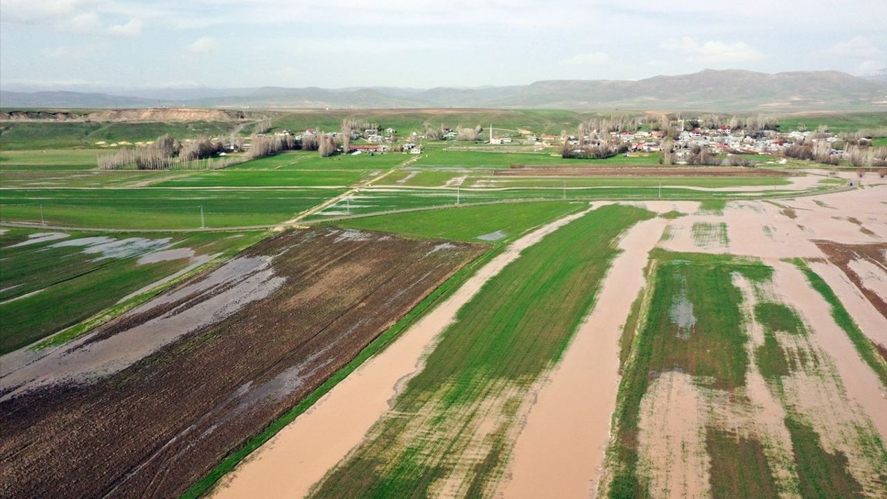 Ağrı'da Murat Nehri Taştı, Tarım Arazileri Su Altında Kaldı
