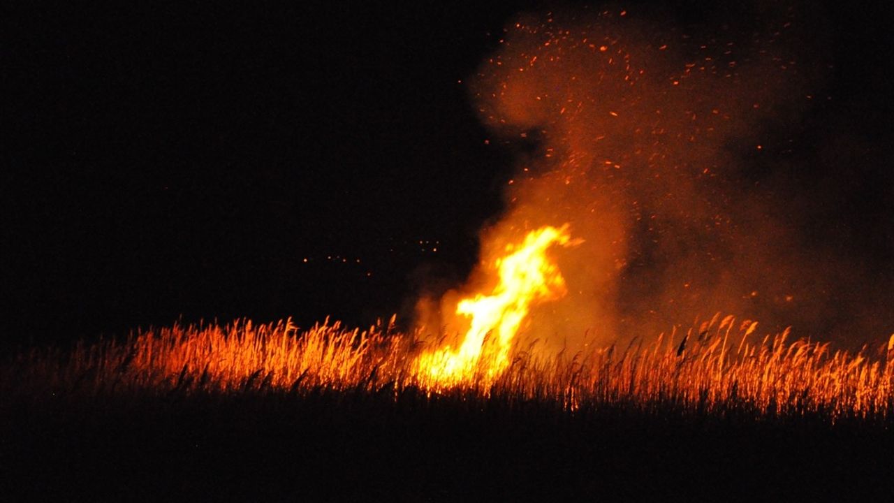 Göksu Deltası'nda Yangın Müdahalesi