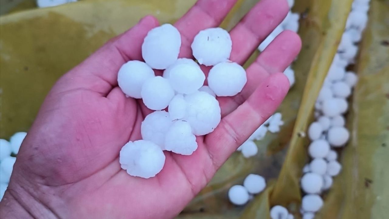 Mersin'de Dolu Felaketi Tarım Alanlarını Vurdu