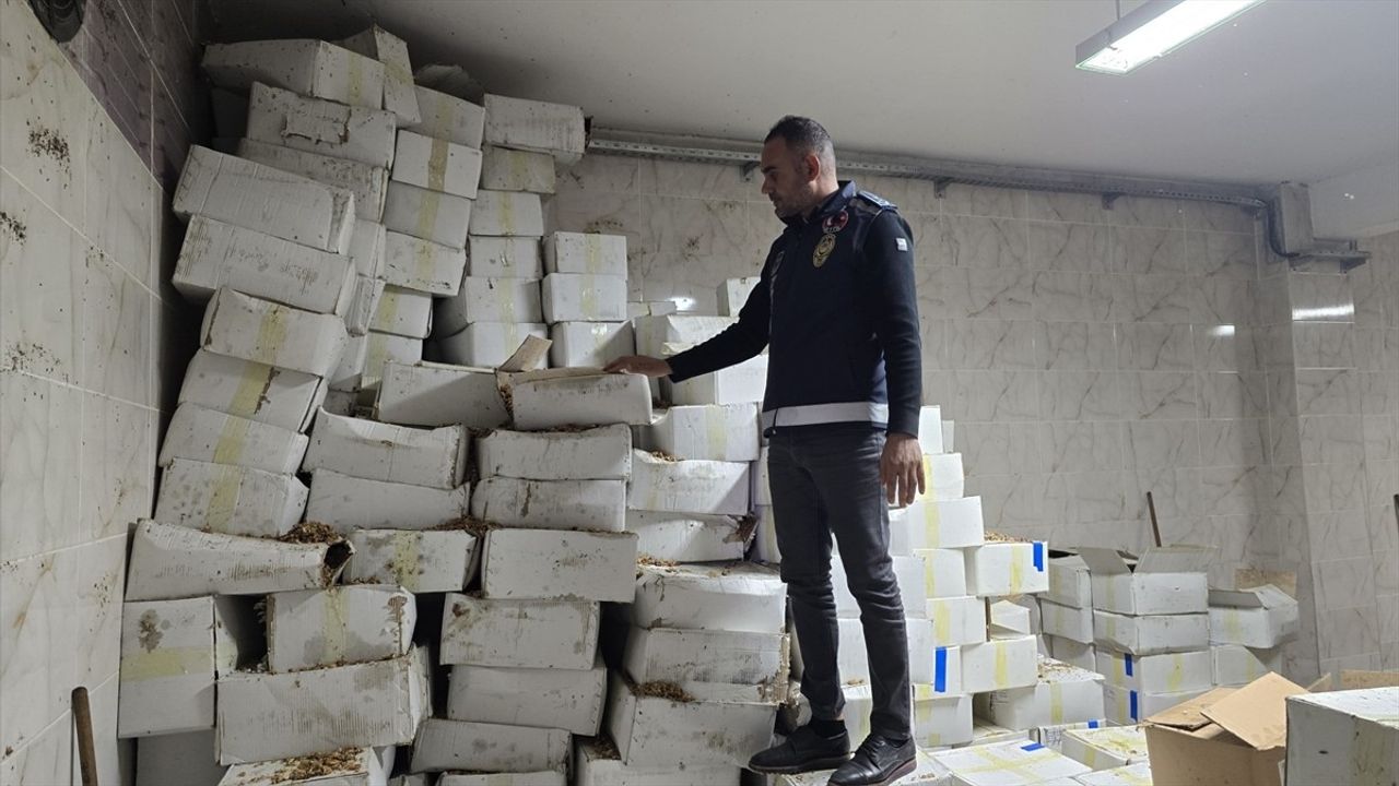 Şanlıurfa'da Baklava Üretimi İçin Hazır 11 Ton Küflenmiş Ceviz Ele Geçirildi