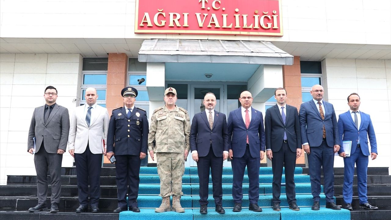 Sokak Hayvanları İçin Yeni Çözümler