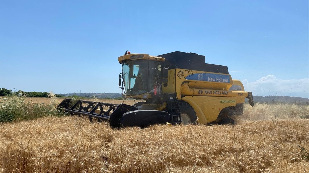 Antalya'da Hasat Sezonu Başladı