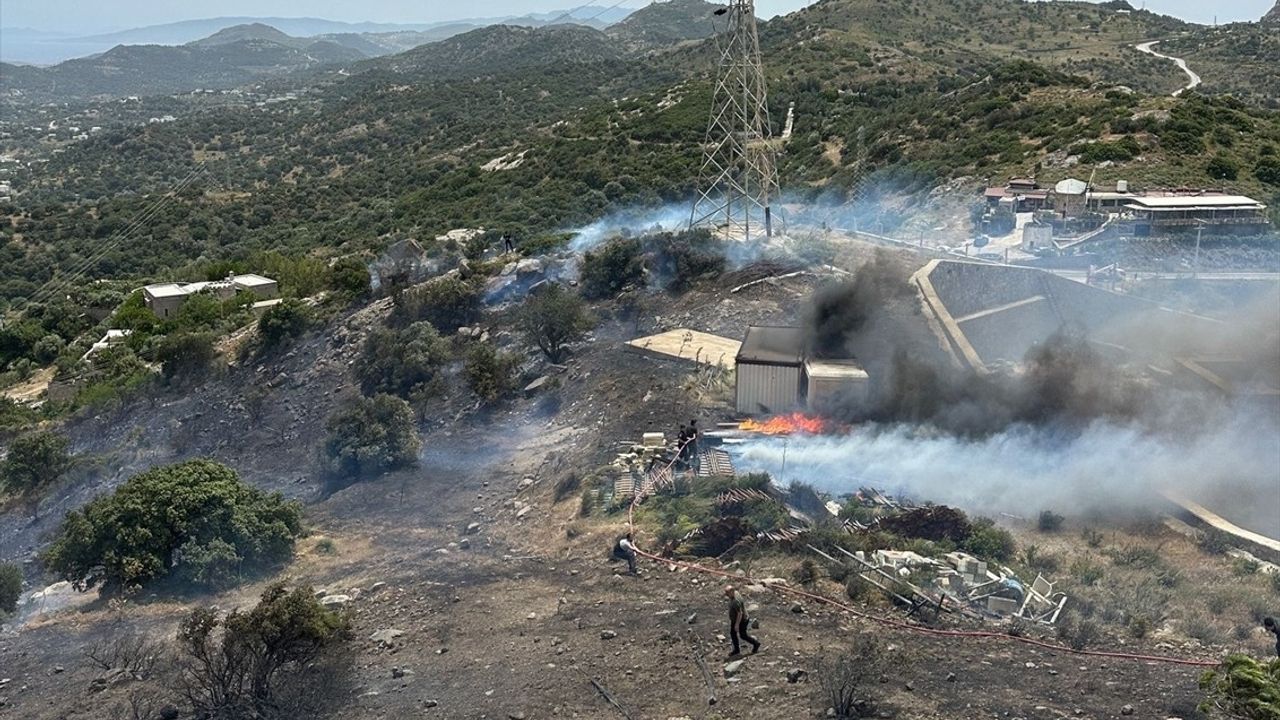 Bodrum'da Yangına Hızla Müdahale Ediliyor