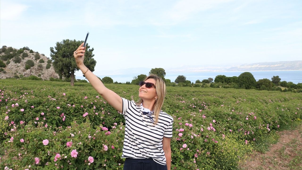 Burdur'daki Göl Manzaralı Gül Hasadı: Ekoturizme İlgi Artıyor