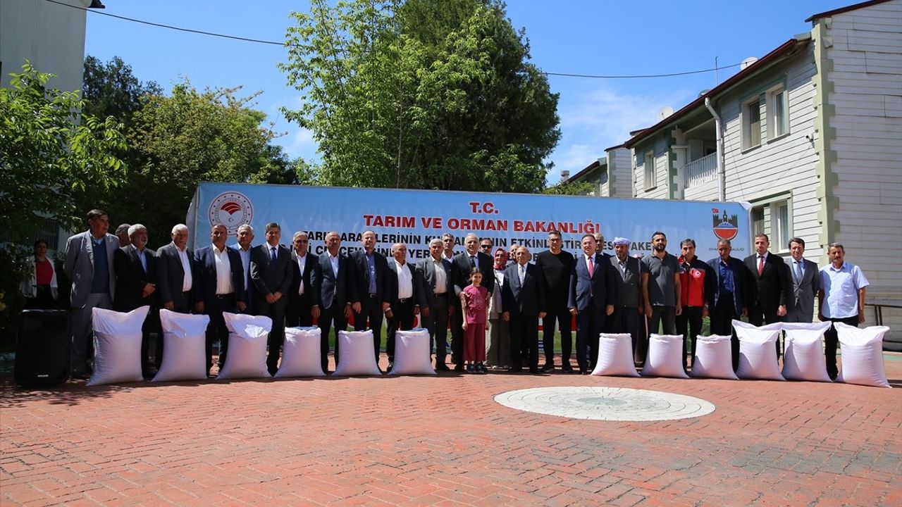 Diyarbakır'da Çiftçilere Sertifikalı Çeltik Tohumu Desteği