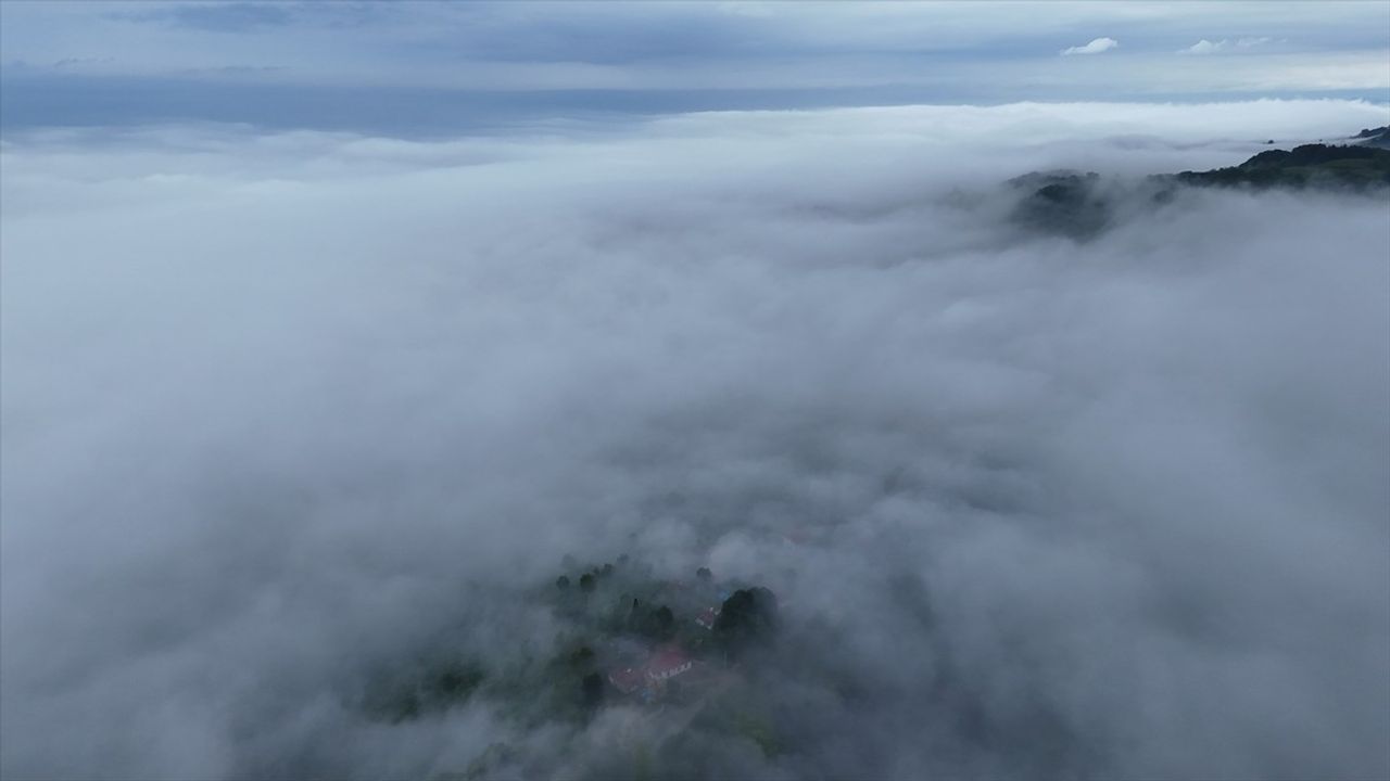 Düzce'de Sis Denizinin Göz Alıcı Manzarası