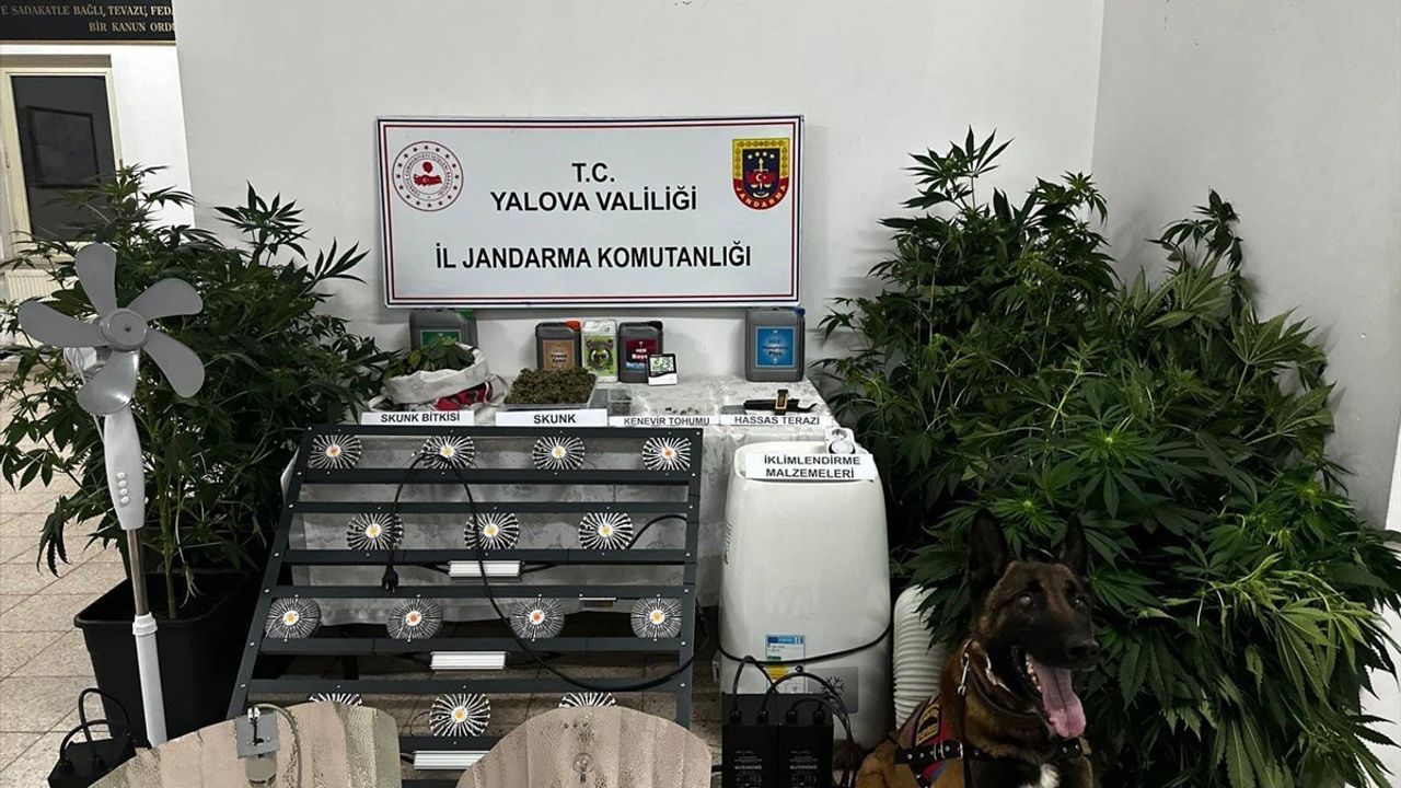 Yalova'da Uyuşturucu Üretimi: Zanlı Tutuklandı