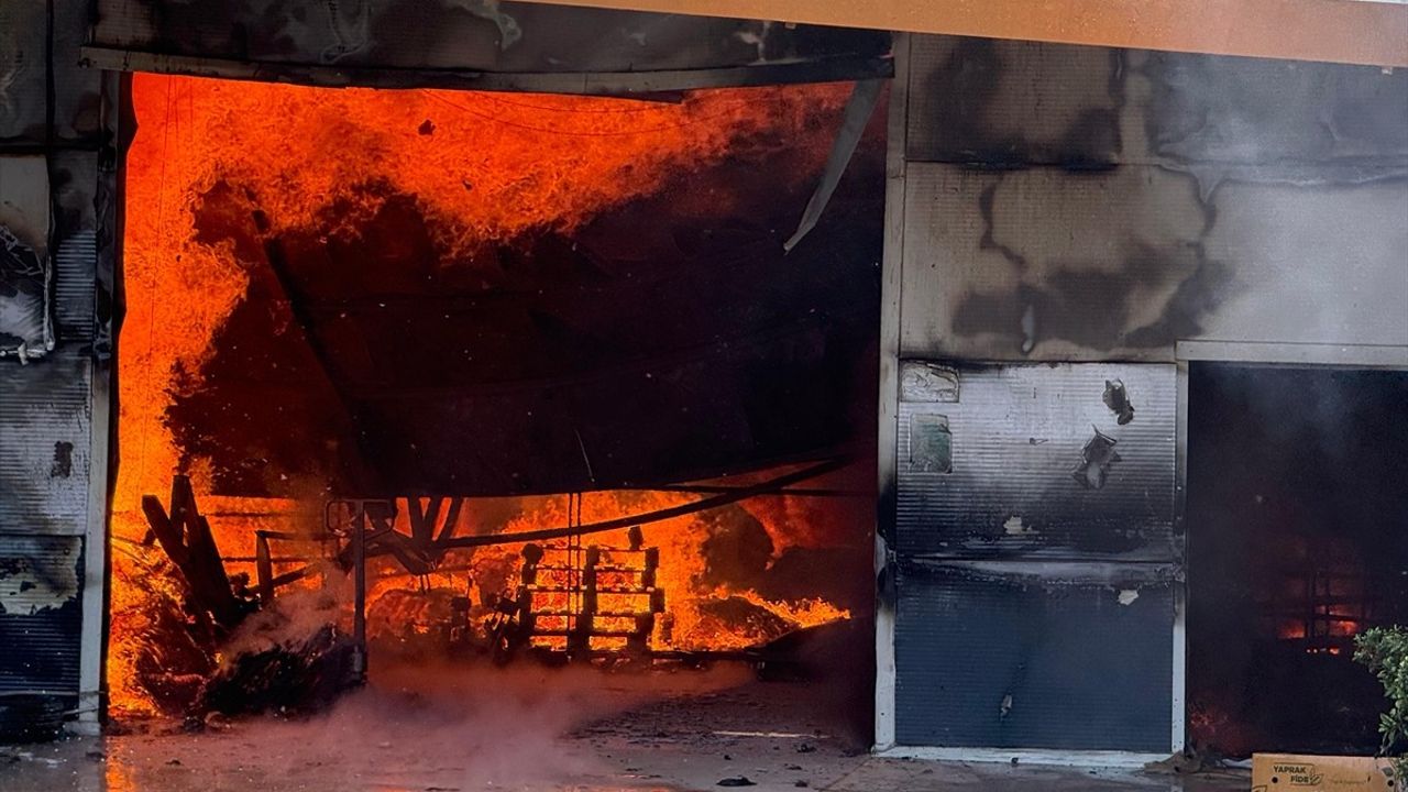 Antalya'da Fide Üretim Tesisinde Yangın