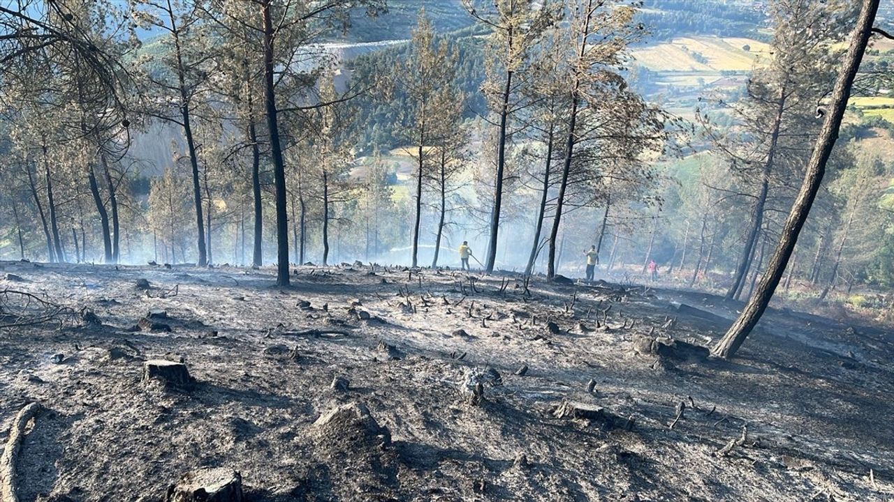 Balıkesir'deki Orman Yangını Kontrol Altında