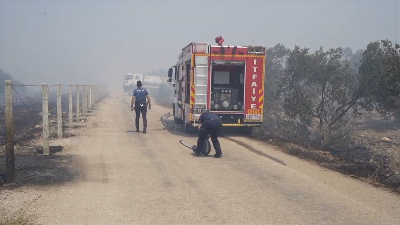 Balıkesir'de Zeytin Bahçelerine Sıçrayan Yangın Kontrol Altına Alındı