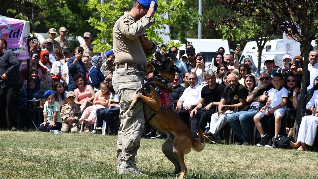 Bilecik'te Jandarma Teşkilatının 186. Yıldönümü Kutlandı