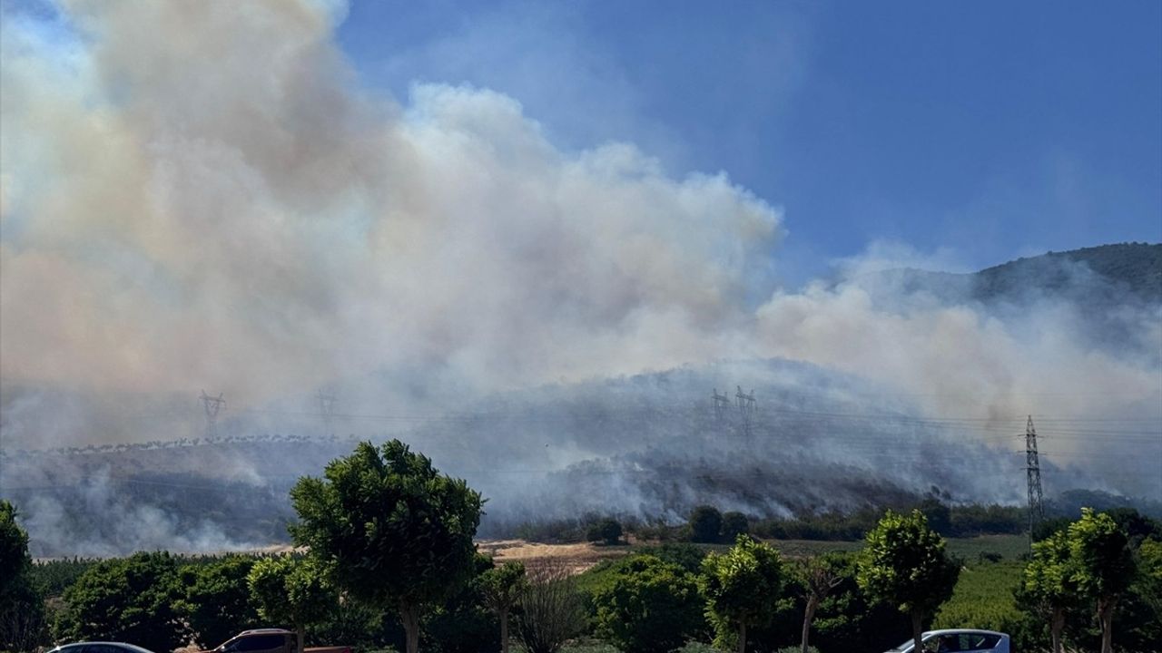 Bursa'da Orman Yangını: Yenişehir'de Mücadele Sürüyor