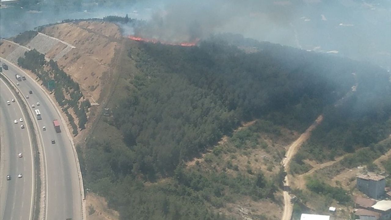 Bursa'da Tarım Alanında Yangın Kontrol Altına Alınıyor