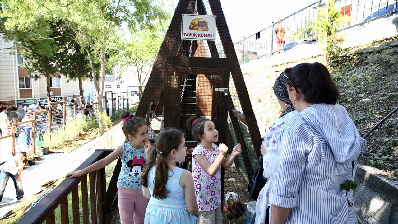 Giresun'da Doğa ile Bütünleşen Eğitim: Orman Okulu Projesi