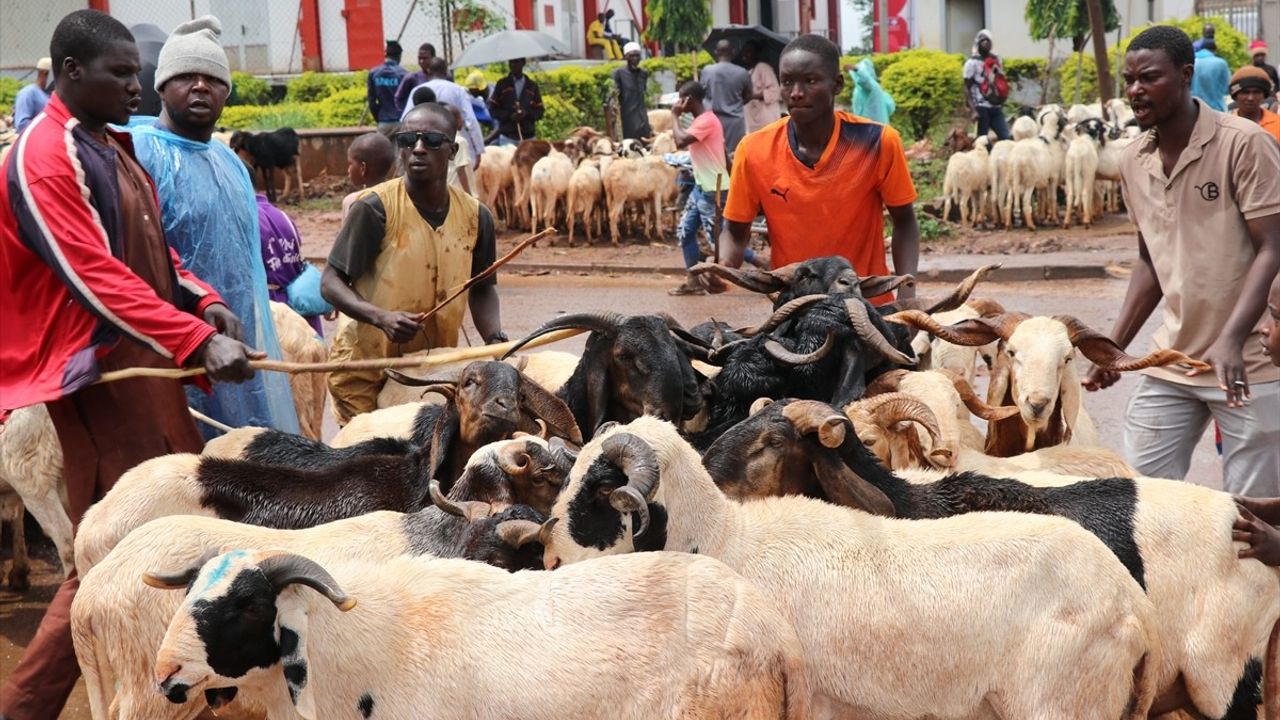 Kamerun'da Kurban Bayramı Öncesi Hayvan Pazarlarındaki Yoğunluk